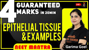 We did not find results for: Epithelial Tissue And Examples 4 Marks Guaranteed In Neet 2020 Neet Mantra By Garima Goel Youtube