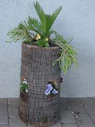 Pin On Stump Planters