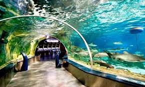 Istanbul Akvaryum Ogretmenlere Ucretsiz Mall Report