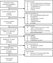 flow chart of children participating in the minimat trial