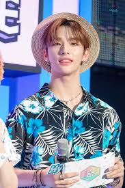 Pin By Sarah Betancur On Stray Kids Stray Kids