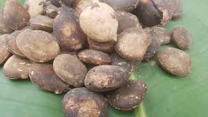 Image result for Telfairia occidentalis