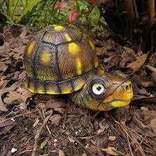Brucie The Baby Eastern Box Turtle Gourd Art Sculpture Etsy