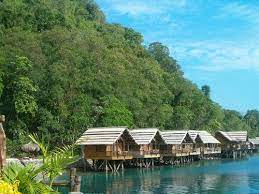 Barcelo Pearl Farm Island Resort Davao City Philippines Philippines Beaches Resorts In Philippines Beach Resorts