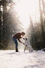 Hundefotografie Anna Panke Hundefotografie Hundefotos Hunde Fotos