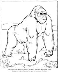 Gorillas coloring pages elegant best gorilla to print 4. Pin By R Brace On Potential Projects For Fall 2013 Zoo Coloring Pages Zoo Animal Coloring Pages Animal Coloring Pages