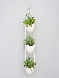 Lots of herbs, like rosemary, basil and oregano, herald from mediterranean climates, so thrive in warm, dry conditions. 5 Indoor Herb Garden Ideas Hgtv S Decorating Design Blog Hgtv