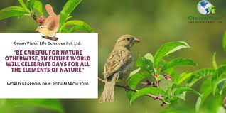 This day is observed to raise world sparrow day was first celebrated in 2010. World Sparrow Day 2020 Green Vision