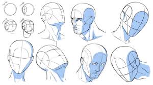 Jun 05, 2021 · to draw a human head in profile, start by drawing the oval shape of a bald head and adding the contours of the nose and lips on one side. News Cartoon Net Cartoon Human Head Drawing Reference