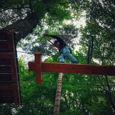Dino parc rasnov este un muzeu in aer liber cu 100 de dinozauri reprodusi in marime naturala. Brasov Romania Things To Do In Brasov 2021 World Travel Family