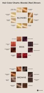 How To Choose The Best Hair Colour From Hair Colour Charts Hair Color Chart Cool Hair Color Hair Color For Brown Skin