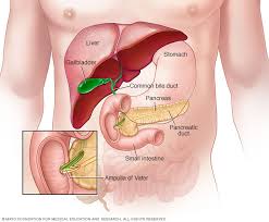 The grade of a cancer depends on what the cells look like under a microscope. Ampullary Cancer Symptoms And Causes Mayo Clinic