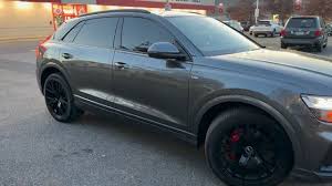 Image result for Vicuna Beige 2022 Q8