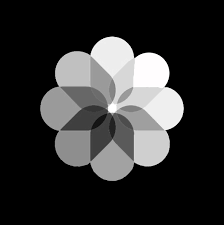 Black Photos Logo Iphone Photo App Iphone Wallpaper App Ios App Icon Design