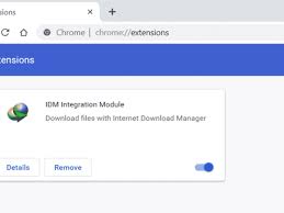 It will turn blue, as you can see in the image. How To Install Idm Integration Module Extension In Google Chrome