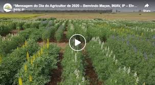 Bem no dia do agricultor. Dia Do Agricultor De 2020 Agroportal