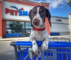 Visit your local las vegas petsmart store for essential pet supplies like food, treats and more from top brands. Petsmart Sw Las Vegas