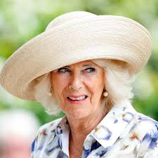 Duchess Camilla throws a tea party for terminally ill children