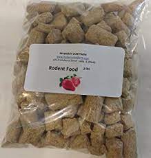 Amazon Com Rodent Blocks For Squirrels