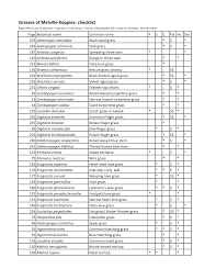 Image result for Diheteropogon filifolius