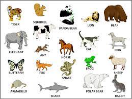 You can easily download or. Animals Wild Animals Pictures Farm Animals Pictures Animals Name With Picture