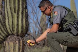 Loving the photos you're seeing? Inside The Fight Against The Growing Cactus Black Market Pacific Standard