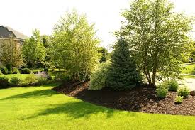 Looking for ways to give your backyard a makeover? 21 Best Front Yard Landscape Ideas Easy Landscaping Tips
