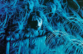 But it is a must watch for kapoor's beautiful acting. Complex S 100 Must Watch Movies To See Before You Die Complex