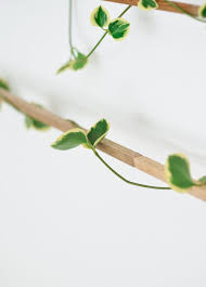 Maybe you would like to learn more about one of these? Make A Nature Inspired Wall Hanging For Your Bedroom