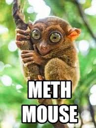 The Internet Tries Again To Name Animals 22 Pics Funny Animal Names Funny Animals Funny Names