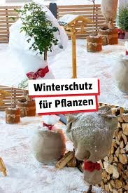 Winterschutz Tipps Fur Garten In 2020 Pflanzen Topfpflanzen Kubelpflanzen