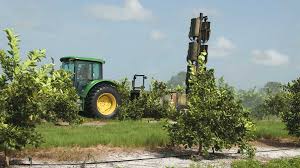 Top sellers most popular price low to high price high to low top rated products. Scientists Set To See If Fungus Can Stop Asian Citrus Psyllid Growing Produce