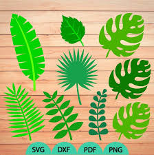 Today's free svg is a tropical leaf, great for summer, vacation, tropical and dinosaur themes! Jungle Leaf Template Pdf Novocom Top