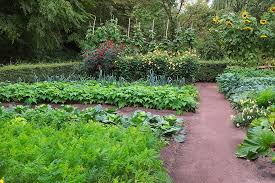 Nutritional garden, an initiative of the krishi vigyan kendra (kvk), is expected to bring in drastic changes in the food habits of many families from kottoor, an adopted village of kvk. Vegetable Garden Rural Nutrition Free Photo On Pixabay