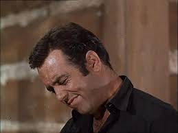 Bonanza Brand FanFiction Library