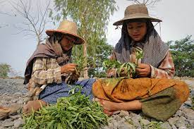 Längst nicht alle profitieren von dem weltweiten durch übernahmen und zusammenschlüsse von firmen weltweit sind mittlerweile einige riesige billiglöhne und kinderarbeit. Produktionsstandort Myanmar Unternehmen Profitieren Von Kinderarbeit Aktiv Gegen Kinderarbeit
