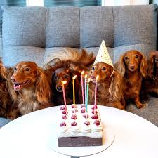 The song is simple, and the playing technique discusses a primary. Play Happy Birthday To You Music Sheet Play On Virtual Piano