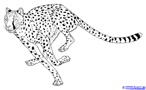 1) draw a rectangle that will define the conditional proportions and boundaries of the chosen drawing. Cheetah Drawing For Kids At Paintingvalley Com Explore Collection Of Cheetah Drawing For Kids