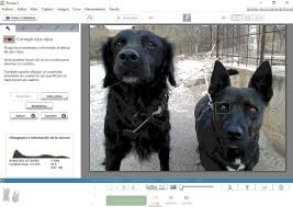 100% safe and virus free. Picasa 3 9 141 Build 259 Descargar Para Pc Gratis