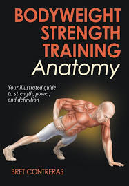 bodyweight strength anatomy