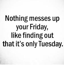 25 Just Funny Quotes #funnyquotes #sarcasm #wittyquotes #funnysayings  #hilariousquotes | Funny quotes, Tuesday quotes, Sarcastic quotes
