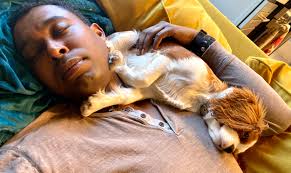 Hijinks — James Creque