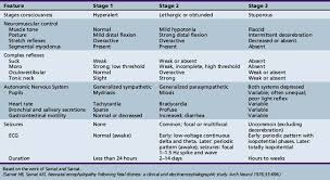 neurologic examination of the term and preterm infant