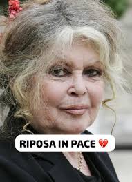 How to make the best italian pasta alla genovese napoletana, the fabulous  recipe from Naples 🍝🍽🇮🇹🤤, to get the recipe open the photo and search  in the comments.