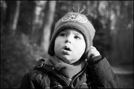 Bokeh Photography (1/day)