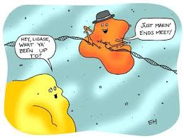 358a84a1dce797fb8fb6ee6e4bf96052 Jpg 454 340 Science Humor Biology Science Cartoons Biology Humor