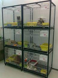 Our unique and innovative range of pet products offers you a host of choices in terms of tough and durable nylon collars and. Lovely Pets House Pet Shops In Kedah