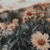 Aesthetic indie aesthetic collage aesthetic vintage aesthetic fashion estilo indie aesthetic iphone wallpaper aesthetic wallpapers bebidas energéticas monster foto mirror. Https Encrypted Tbn0 Gstatic Com Images Q Tbn And9gcrluun3er7k8der996tibbidmeg9zii4zazr Jqsgsywrbm2cxy Usqp Cau