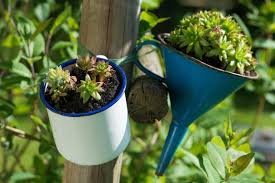 Originelle Pflanzgefasse 21 Pfiffige Ideen Fur Jeden Geschmack Pflanzgefasse Garten Pflanzen Miniaturgarten