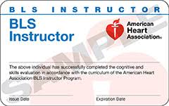 Register now for this american heart association basic life support (bls) recertification class. Virtual Aha Bls Instructor October 1 And 2 2020 Lifeforceusa Inc